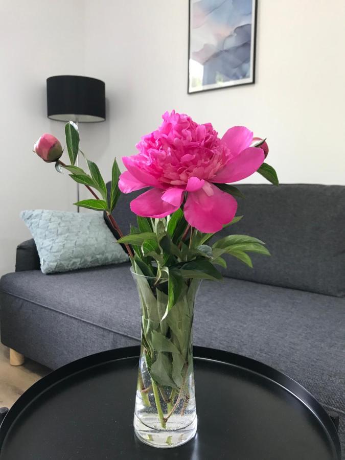 Apartman Na Kopci Krucemburk Eksteriør bilde